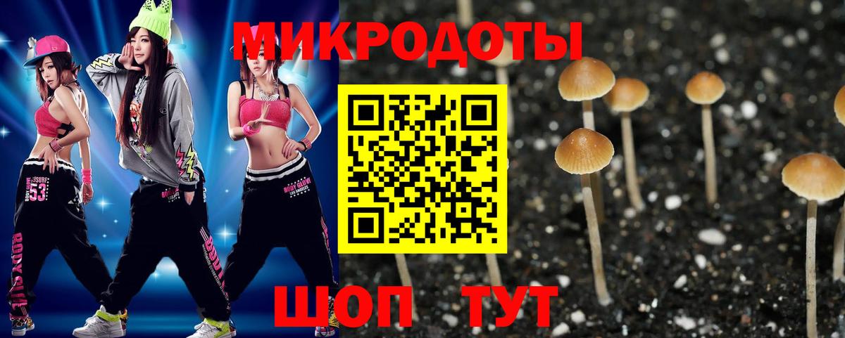 Галлюциногенные грибы Psilocybine cubensis  купить наркотики цена  Касимов  Вход с VPN 